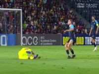 �ǹھ�Ӣ�˷�֮һ���� ��������VS�����ɽ 20250304