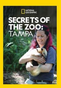 ����԰������̹�����һ��