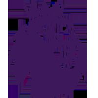 Ӣ�� ����vs������20251110