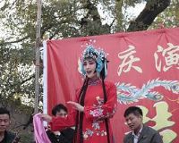 ��ϵ����ǻ